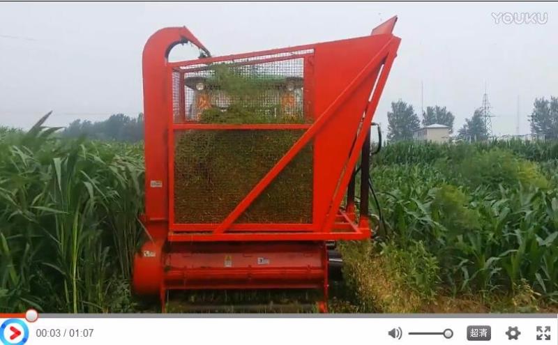 河北保定客戶回收（shōu）玉米秸稈現場視頻展示