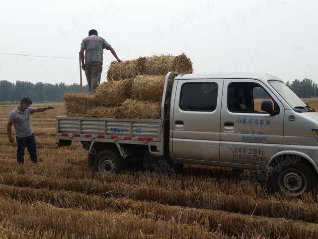 定期檢查打捆機動力樞軸彈簧（huáng），保持彈簧的長度為68毫米